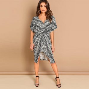 Leopard Print  V-Neck Party Women Elegant Dresses