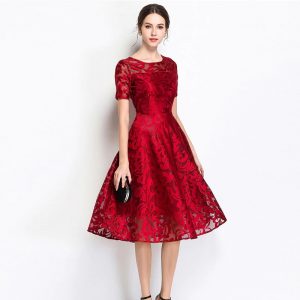 Elegant lace embroidery Vestidos Plus size party Dress - Image 5