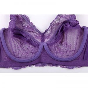 Full Coverage Jacquard Non Padded Lace Sheer Underwire Bra - Image 6