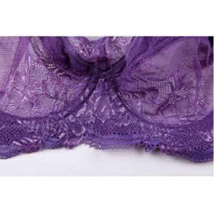 Full Coverage Jacquard Non Padded Lace Sheer Underwire Bra - Image 7