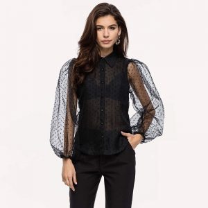 Transparent Turn Down Collar Long Puff Sleeve Blouse