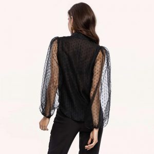 Transparent Turn Down Collar Long Puff Sleeve Blouse - Image 2