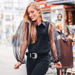 Transparent Turn Down Collar Long Puff Sleeve Blouse - Image 3