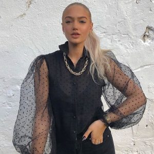 Transparent Turn Down Collar Long Puff Sleeve Blouse - Image 4