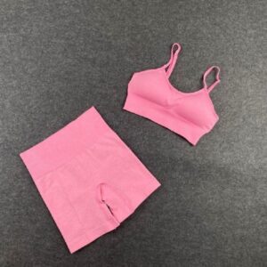 Seamless Workout Sport Short Bra Yoga Set - Image 4