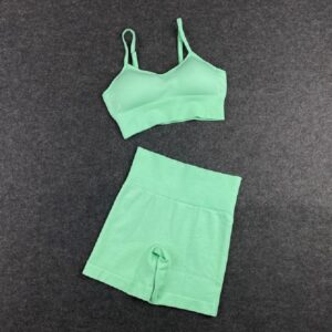 Seamless Workout Sport Short Bra Yoga Set