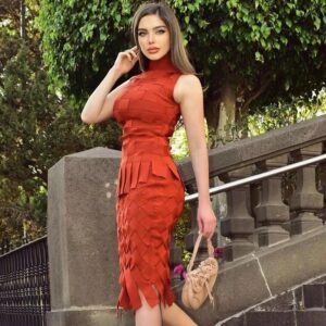 Sexy Tank Tops and Midi Skirts Club Party Bandage 2Pieces Sets - Image 2