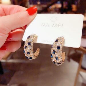 Fashion Statement Earrings