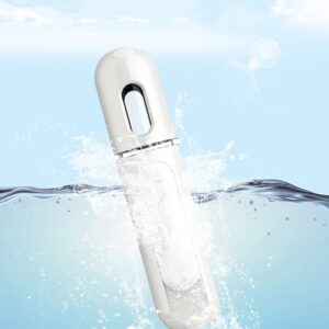Mini Nano Atomization Moisturizing Sprayer - Image 10
