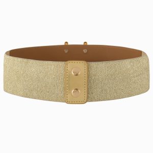 Casual Solid Pearl Alloy Wide Waist Seal Dress Decoration Elastic Belts - Image 3