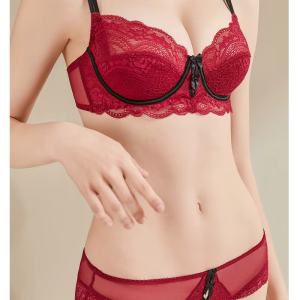 Lace Ultra-Thin Bralette Set Soft Stylish and Perfect Bra Set - Image 3